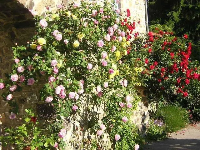 Mas Casta Nea Bed & Breakfast Thueyts