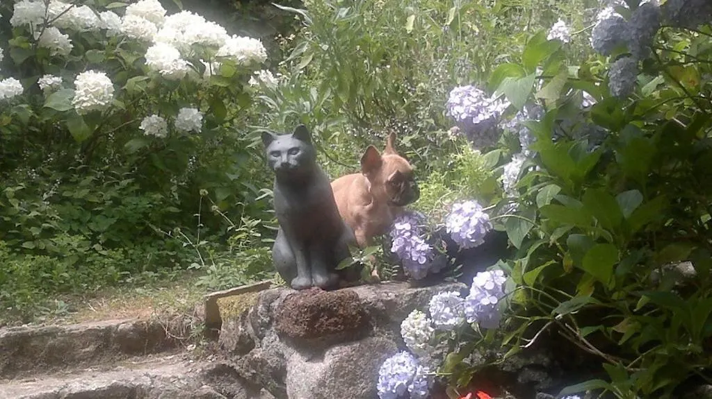 Mas Casta Nea Bed & Breakfast Thueyts